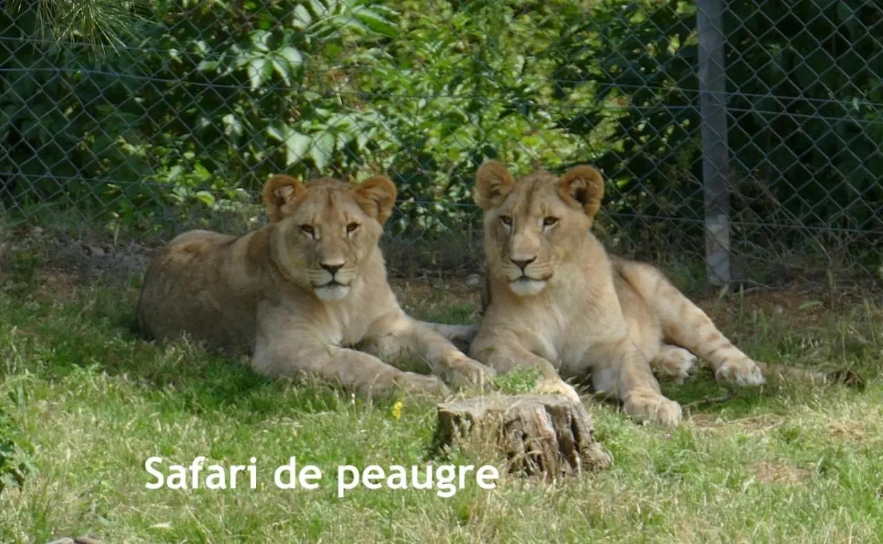 Gites Des Ecoles Quintenas 0*,